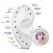 20g 14Kt Gold Birthstone Stud Earrings with 2mm 4-Prong Gem, Double Notch Post & Butterfly Back