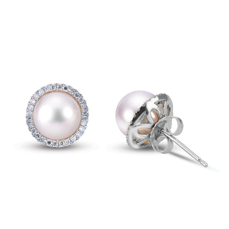 14KT White Gold Akoya Pearl Earring