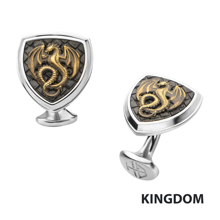 Polished Steel Frame with Black IP Pattern Antique Stamped Brass Dragon Cufflinks